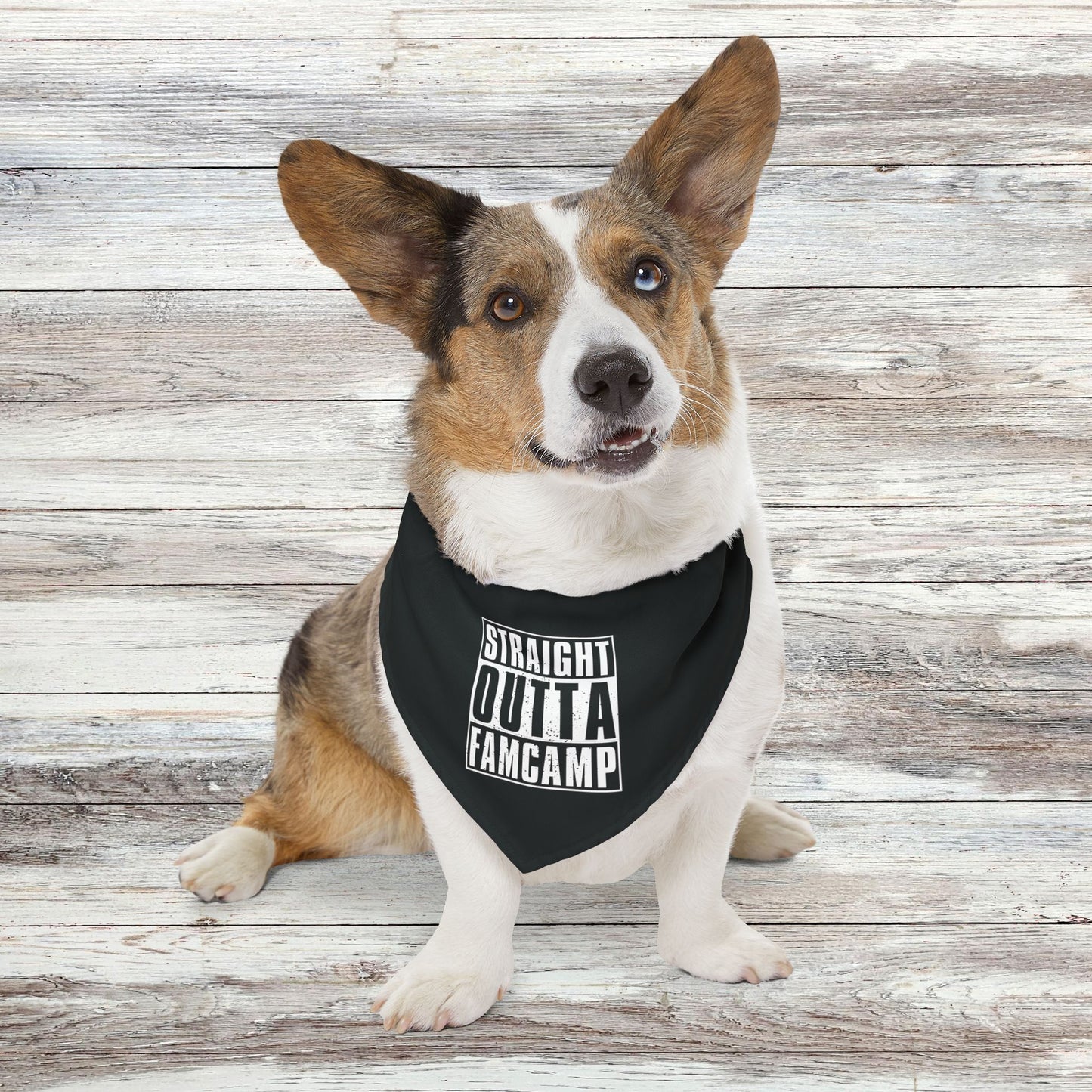 Straight Outta Famcamp Pet Bandana Collar