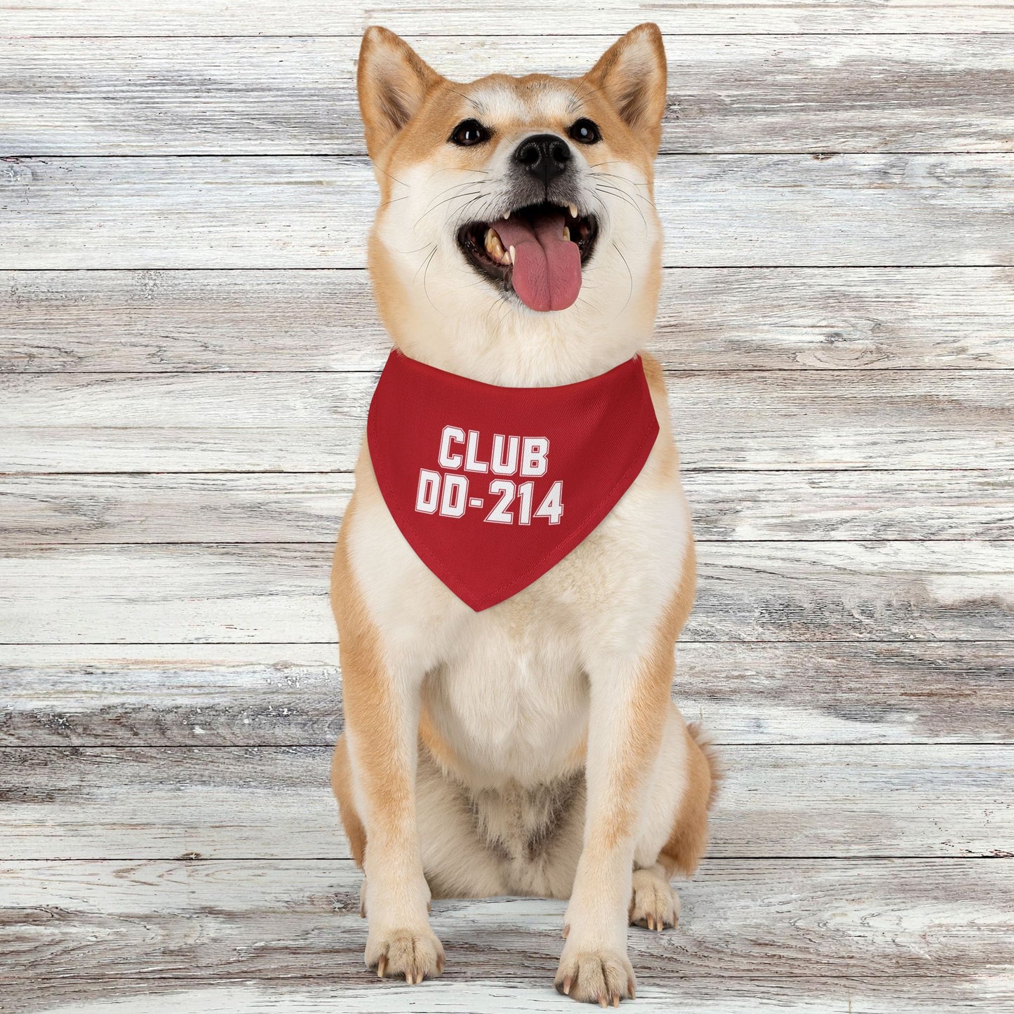 Club DD-214 Red Pet Bandana Collar