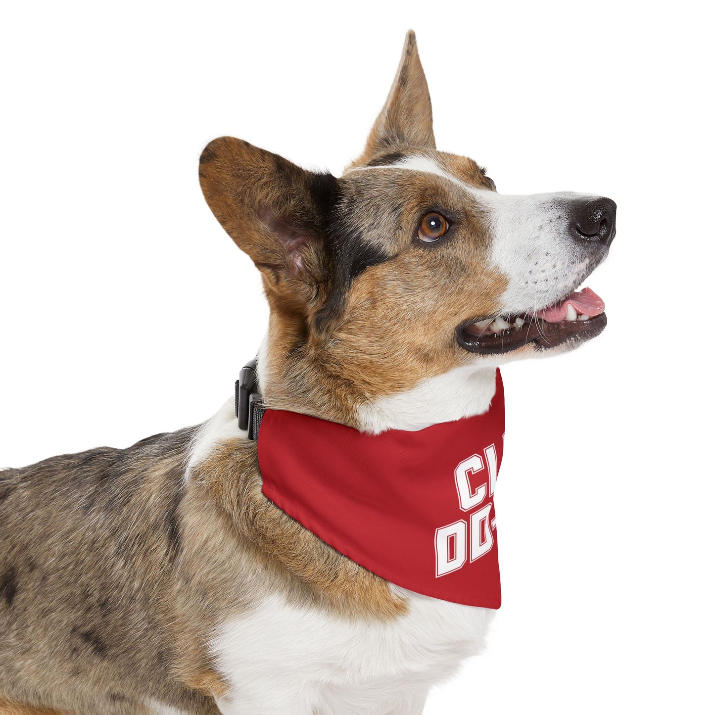 Club DD-214 Red Pet Bandana Collar
