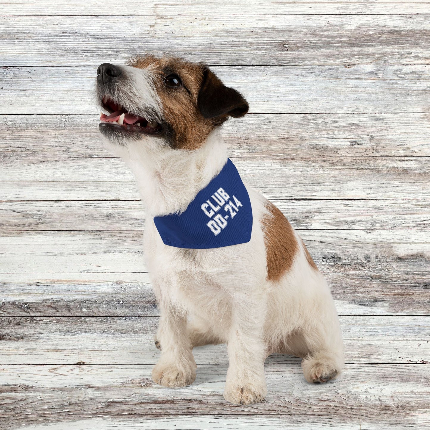 Club DD-214 Pet Bandana Collar