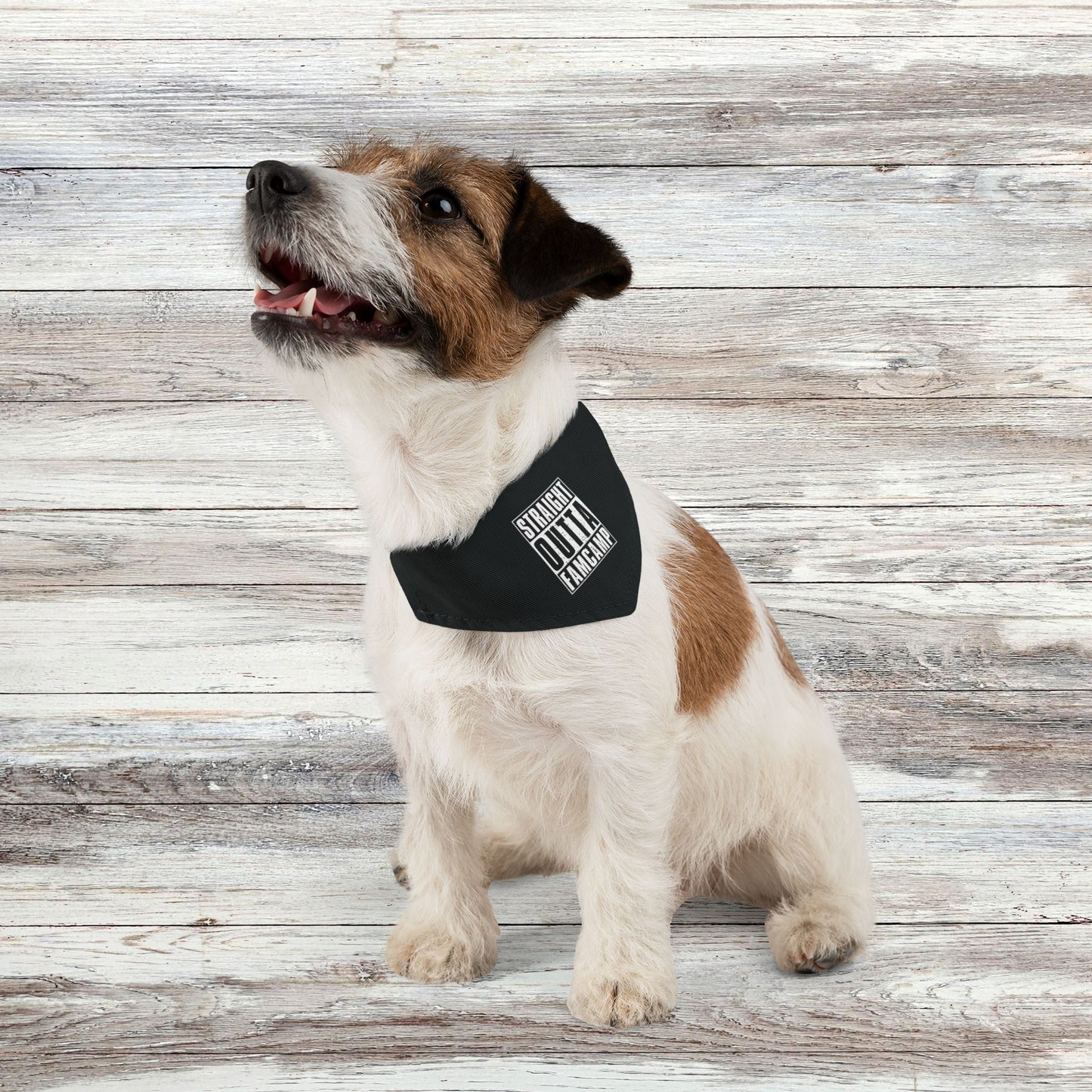 Straight Outta Famcamp Pet Bandana Collar