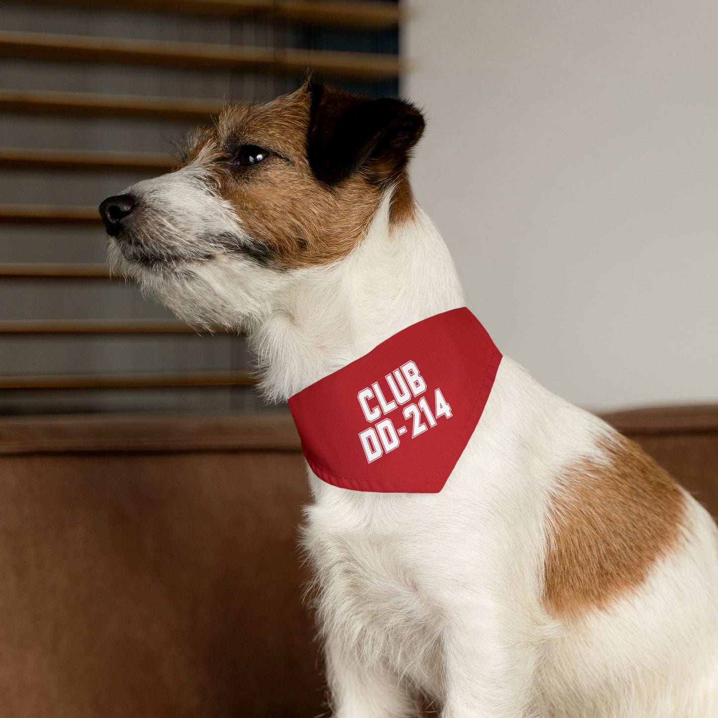Club DD-214 Red Pet Bandana Collar