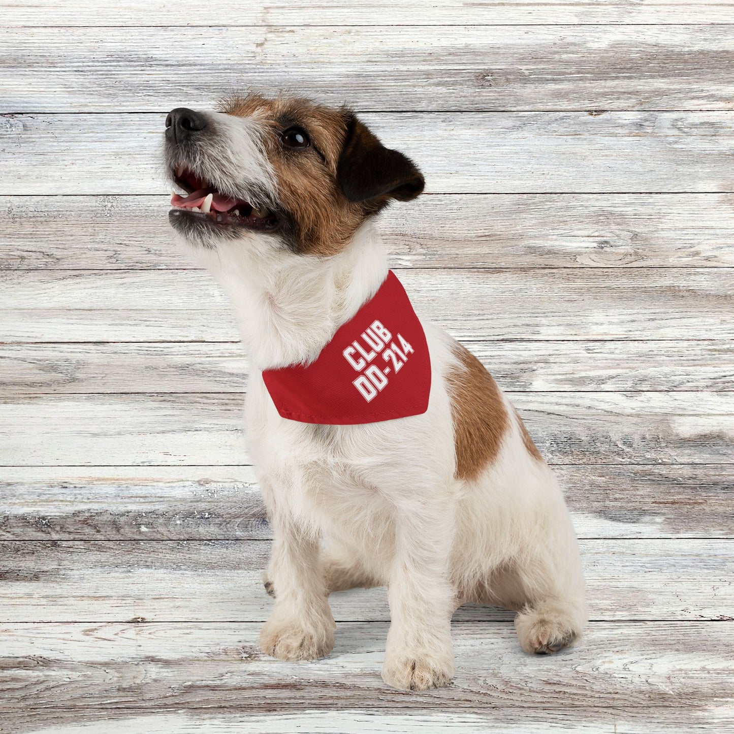 Club DD-214 Red Pet Bandana Collar