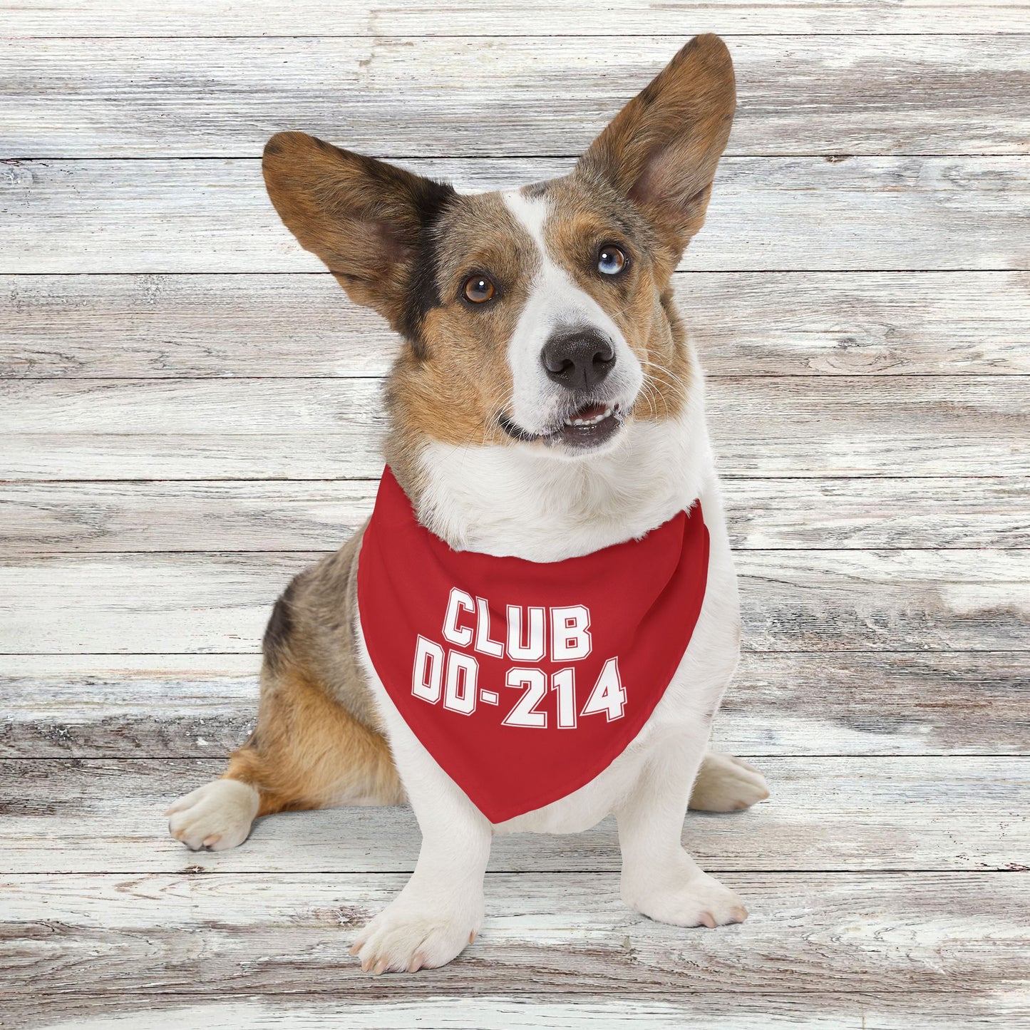 Club DD-214 Red Pet Bandana Collar