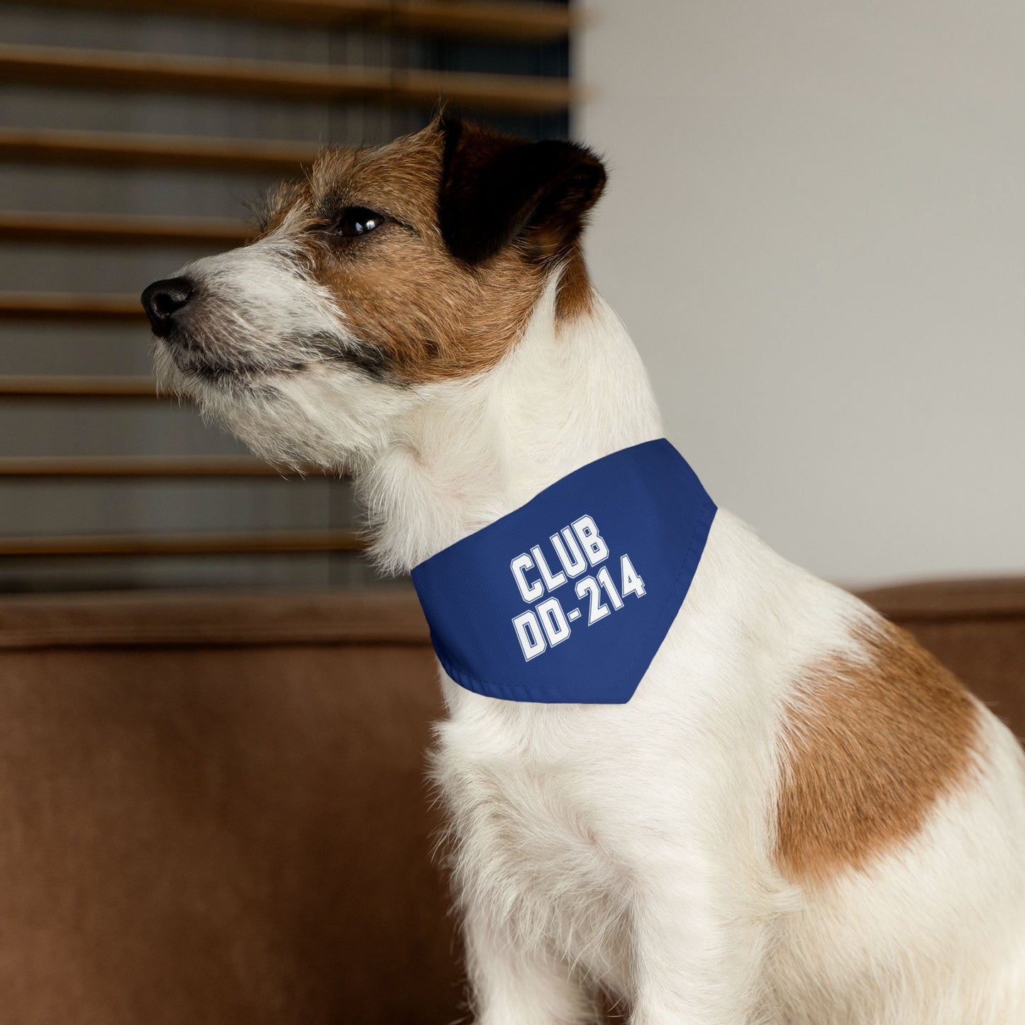 Club DD-214 Pet Bandana Collar