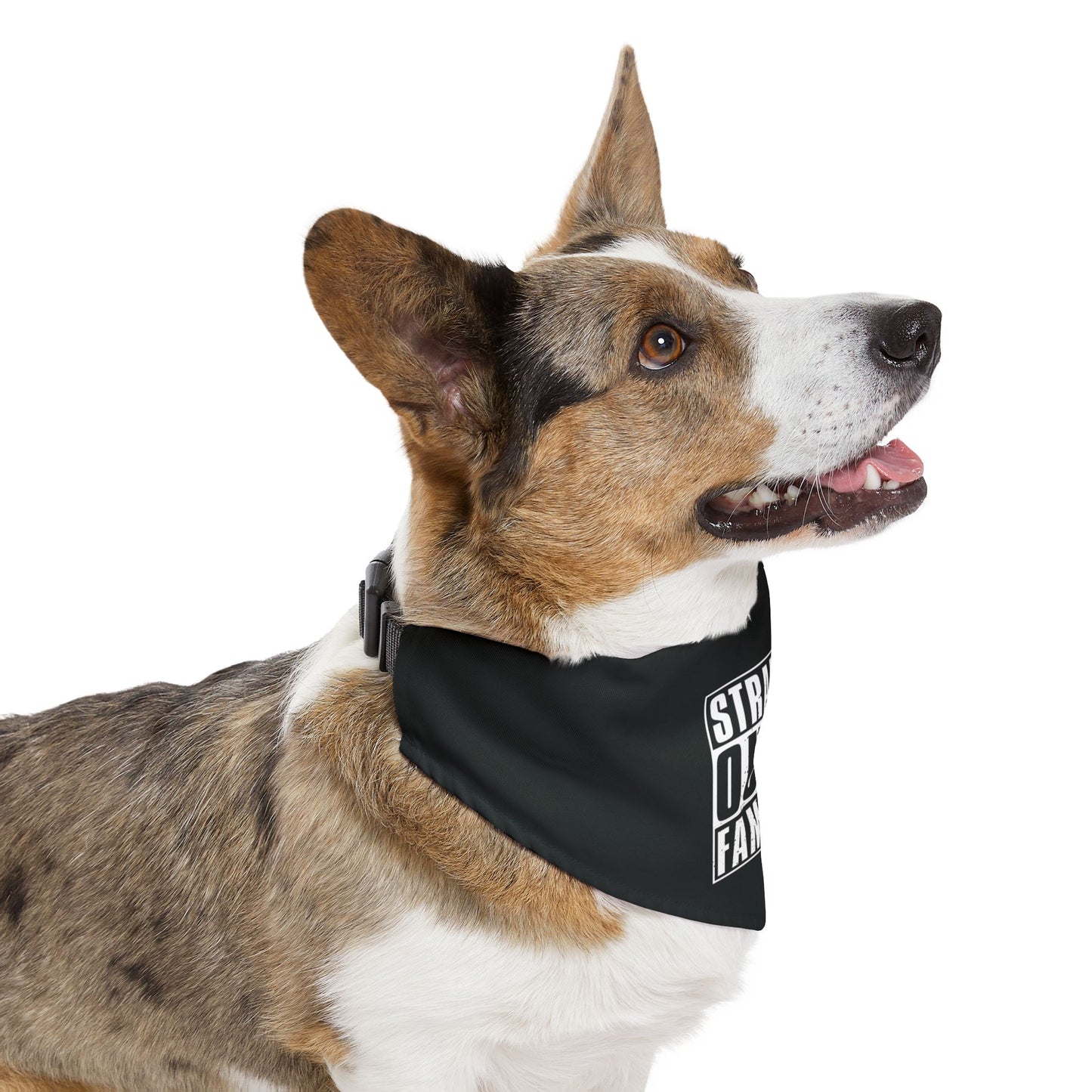 Straight Outta Famcamp Pet Bandana Collar