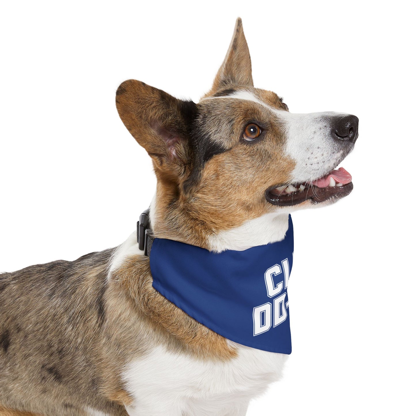 Club DD-214 Pet Bandana Collar