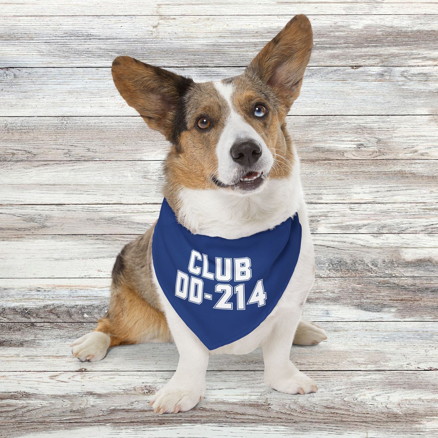 Club DD-214 Pet Bandana Collar