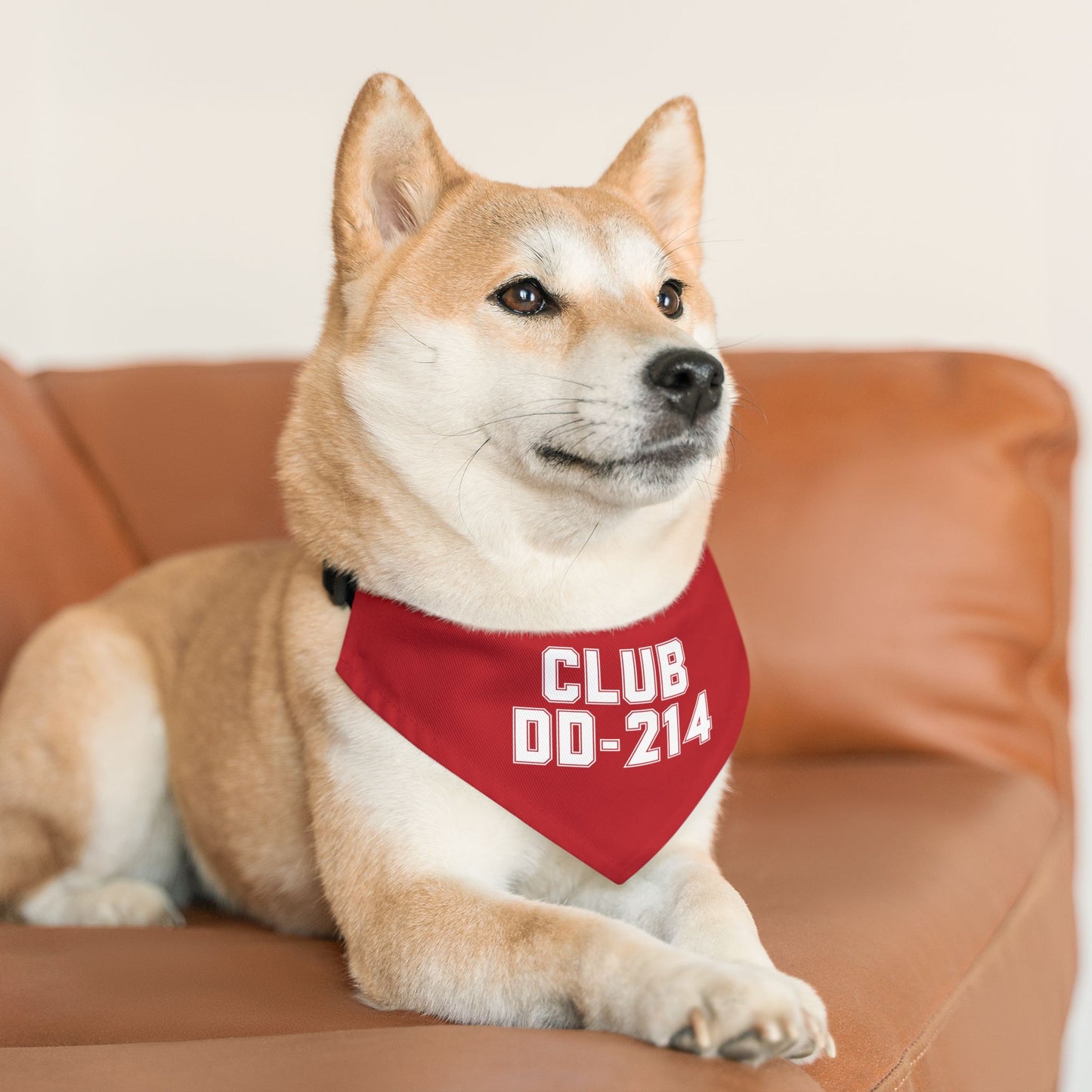 Club DD-214 Red Pet Bandana Collar